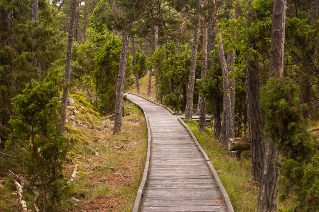 Trollskogen walkway