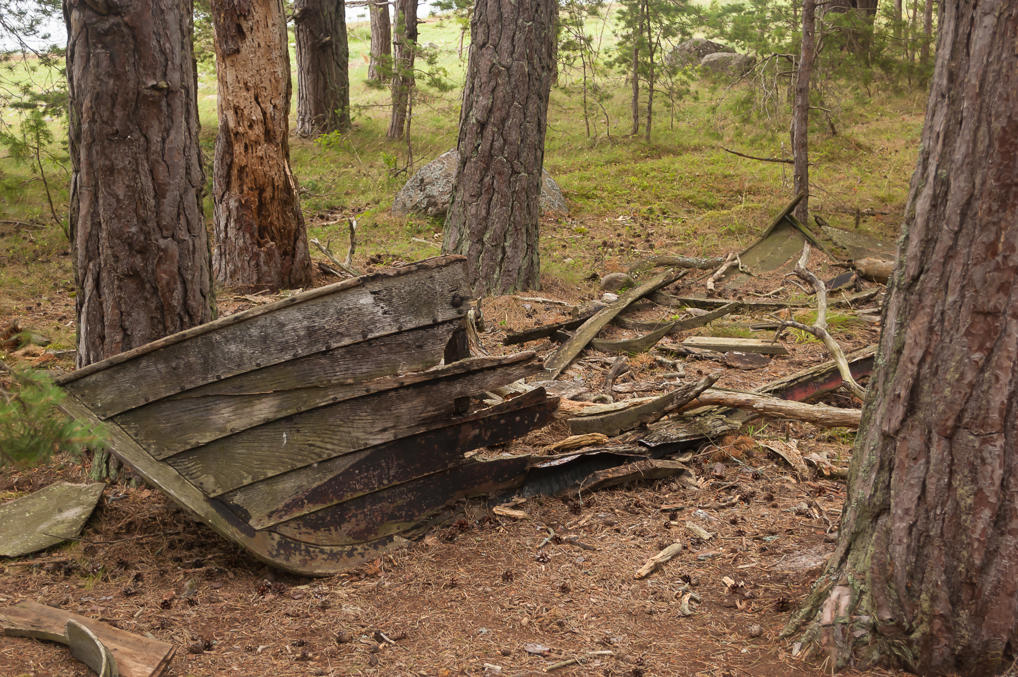 Boat remains