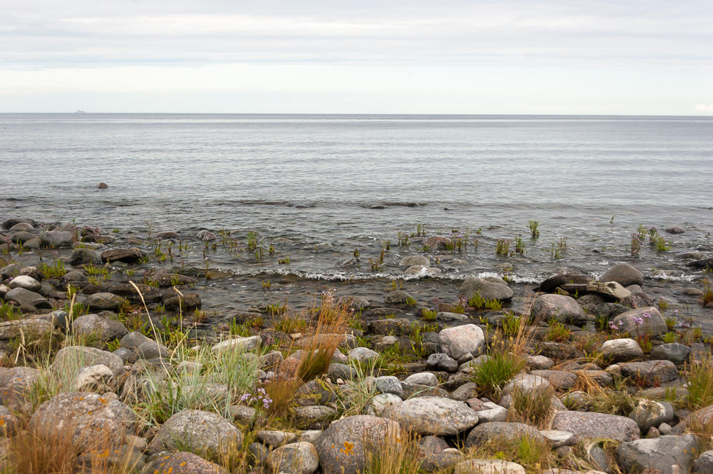 Baltic Sea