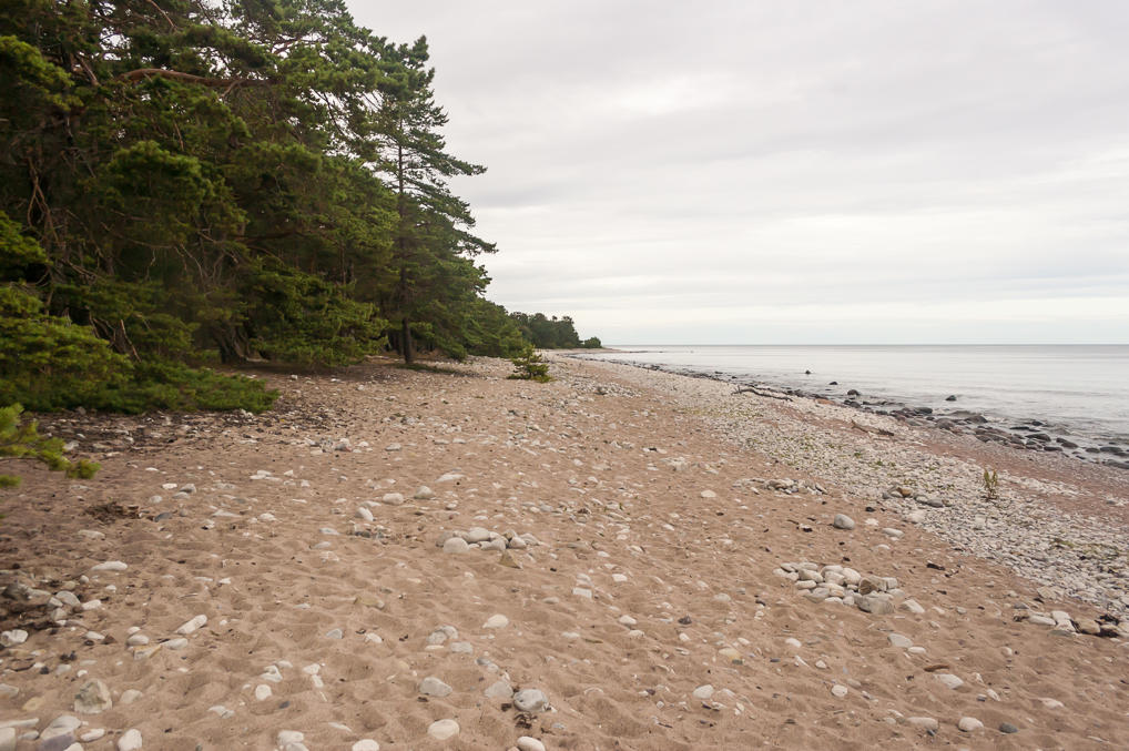 Trollskogen shore