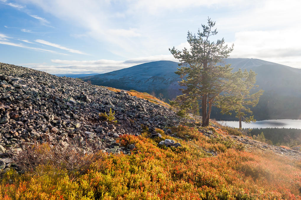 Pallas-Yllästunturi National Park