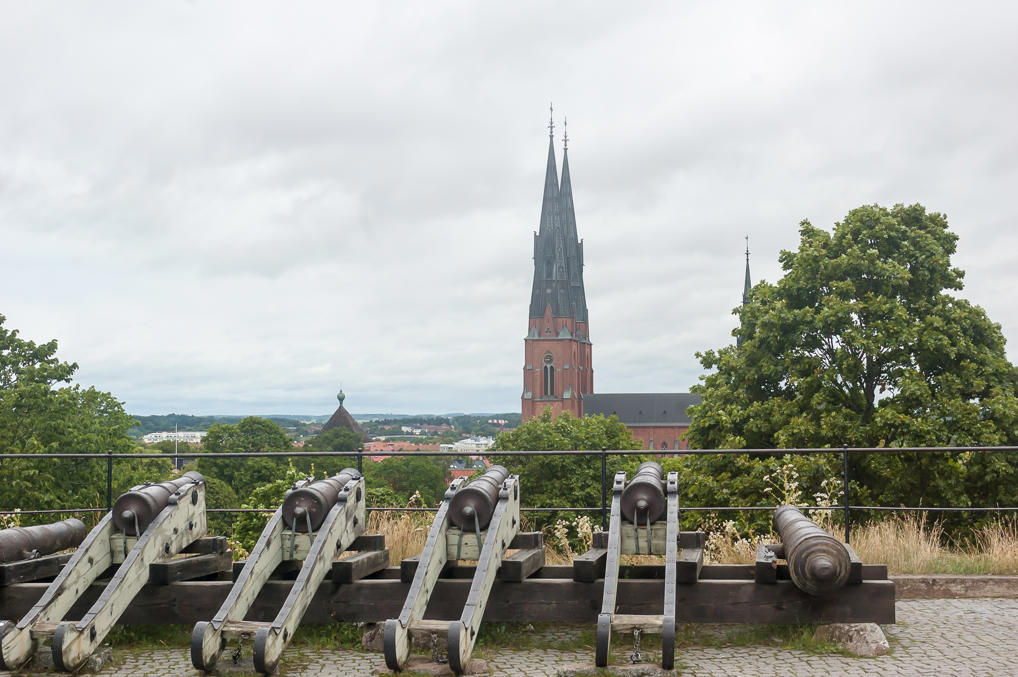Gustav Vasa's cannons