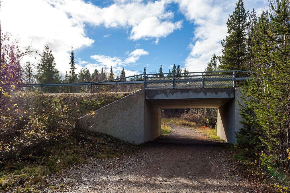 Trail in an underpass