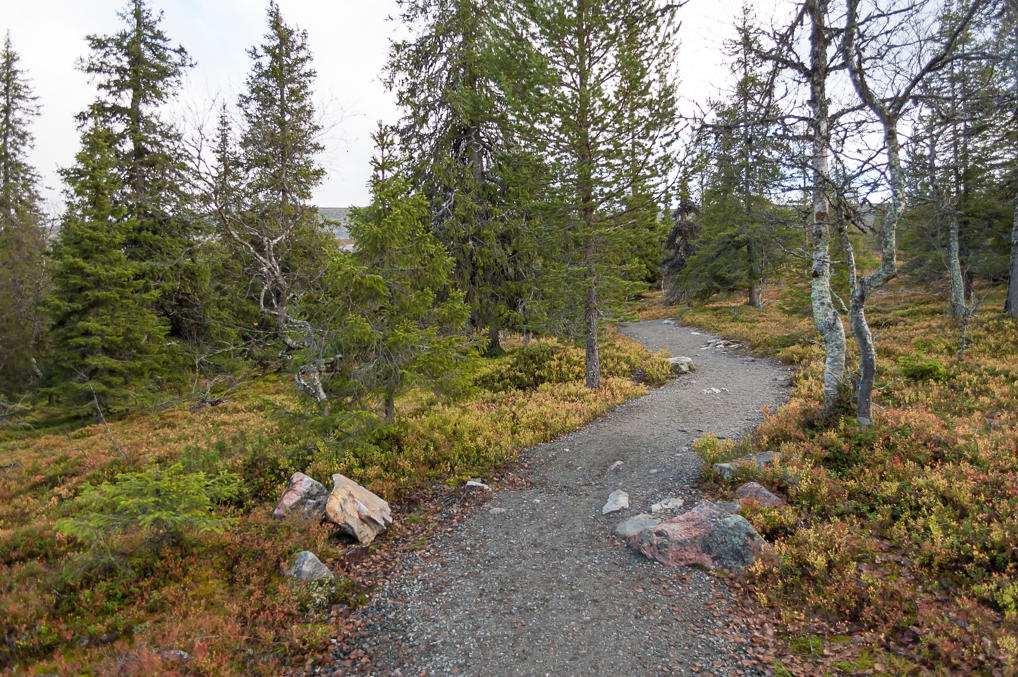 Varkaankuru trail