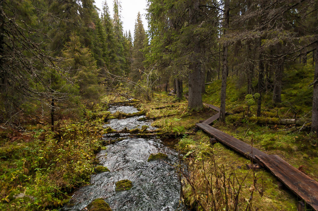 From Varkaankuru to Äkäslompolo