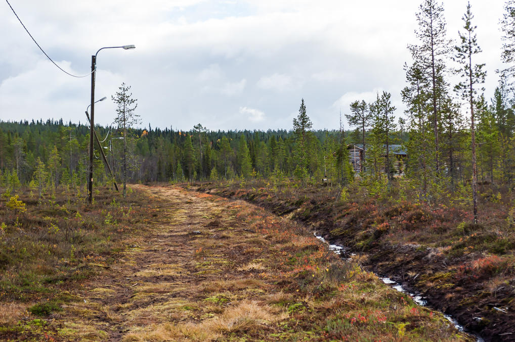 Wet trail