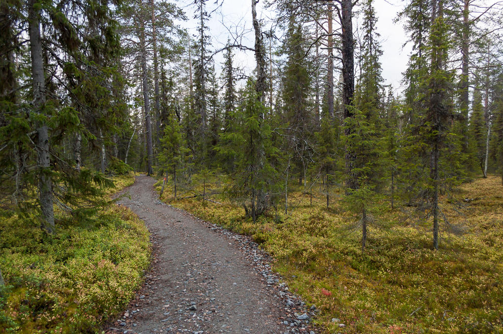 From Varkaankuru to Äkäslompolo