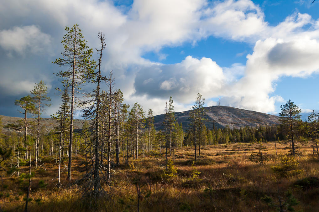 Trail to Kellokas