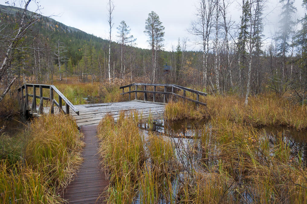 Kesänkijoki bridge