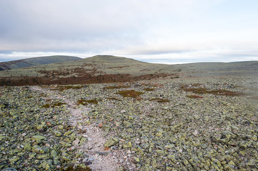 Tähtipolku on top of Kesänki