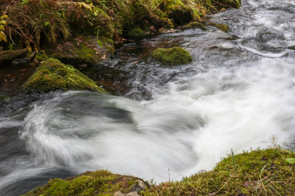 Varkaanoja Brook