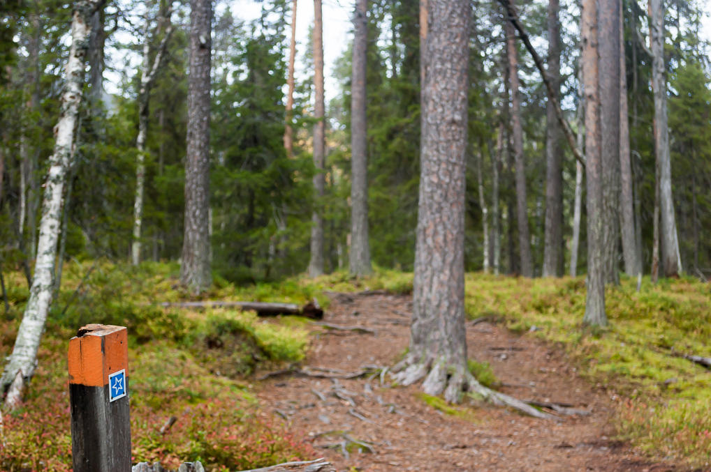 Tähtipolku markers