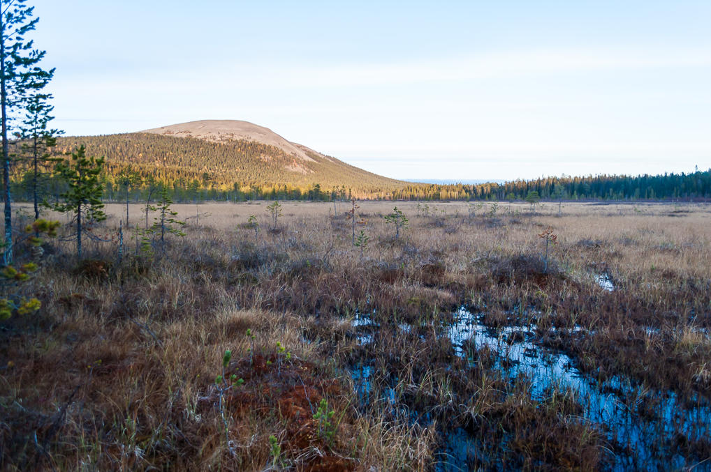 Болото Хормистонъянккя Marsh