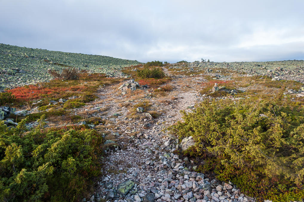 Tähtipolku on top of Kesänki