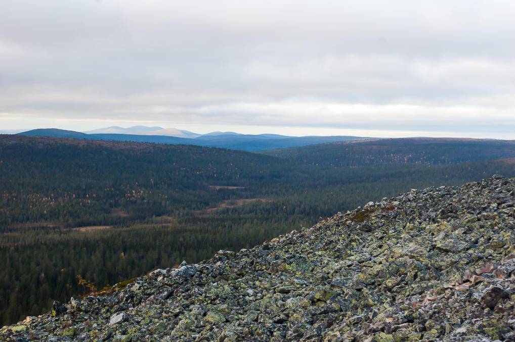 Kesänki summit