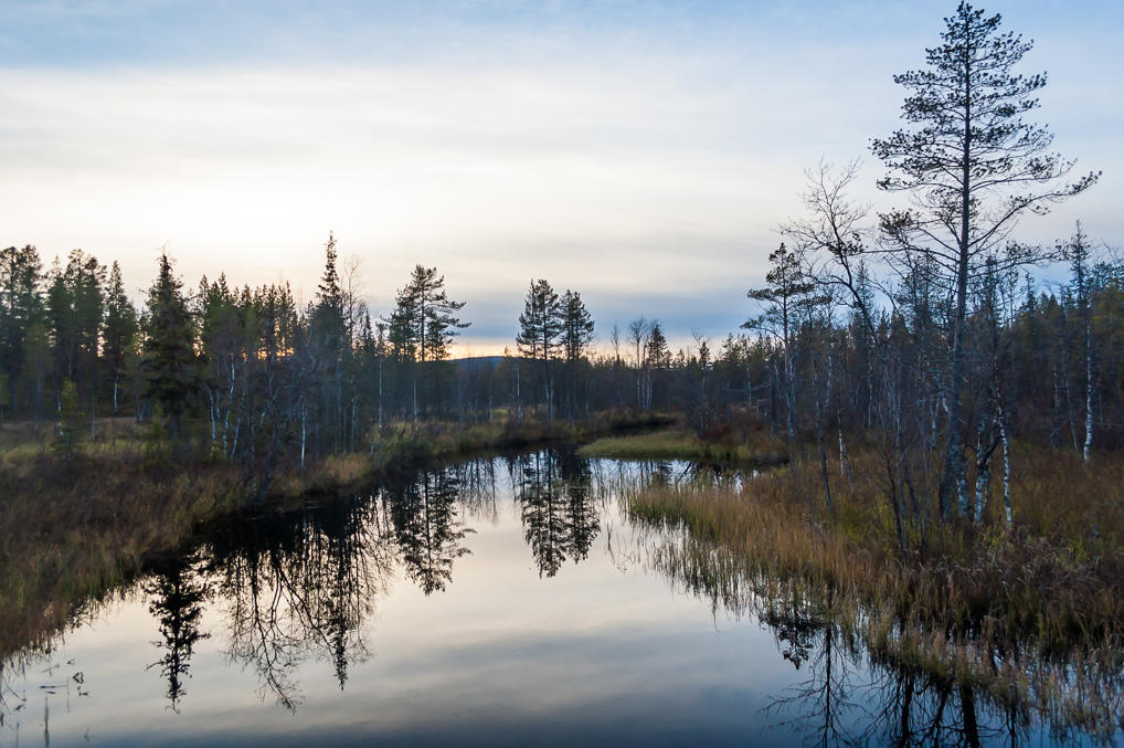 Kesänkijoki River