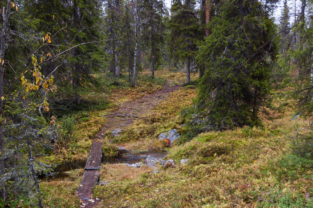 Trail to Seitakivi