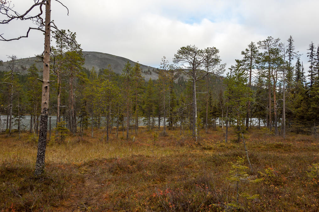Kesänki and Kesänkijärvi