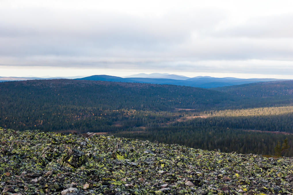 Distant fells