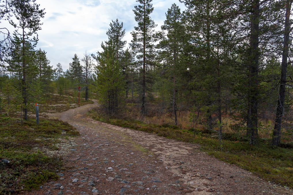 Saivonkierros Trail