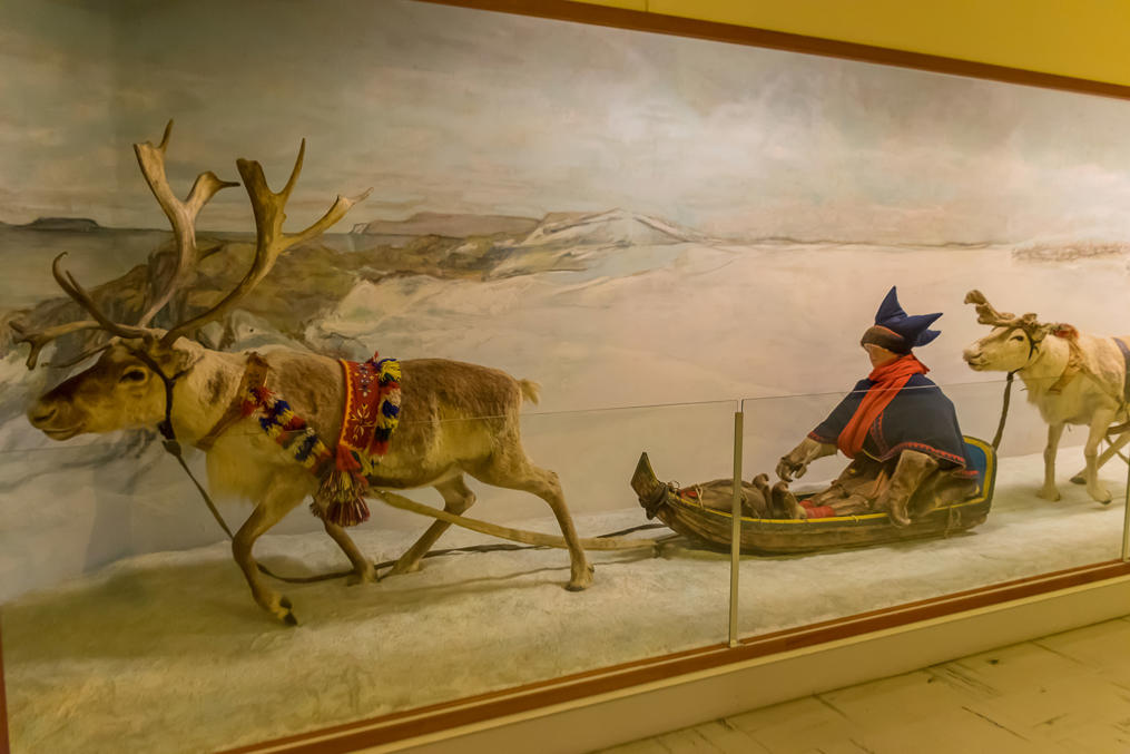 Sami sled in Tromsø University Museum