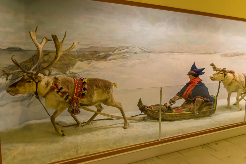 Sami sled in Tromsø University Museum