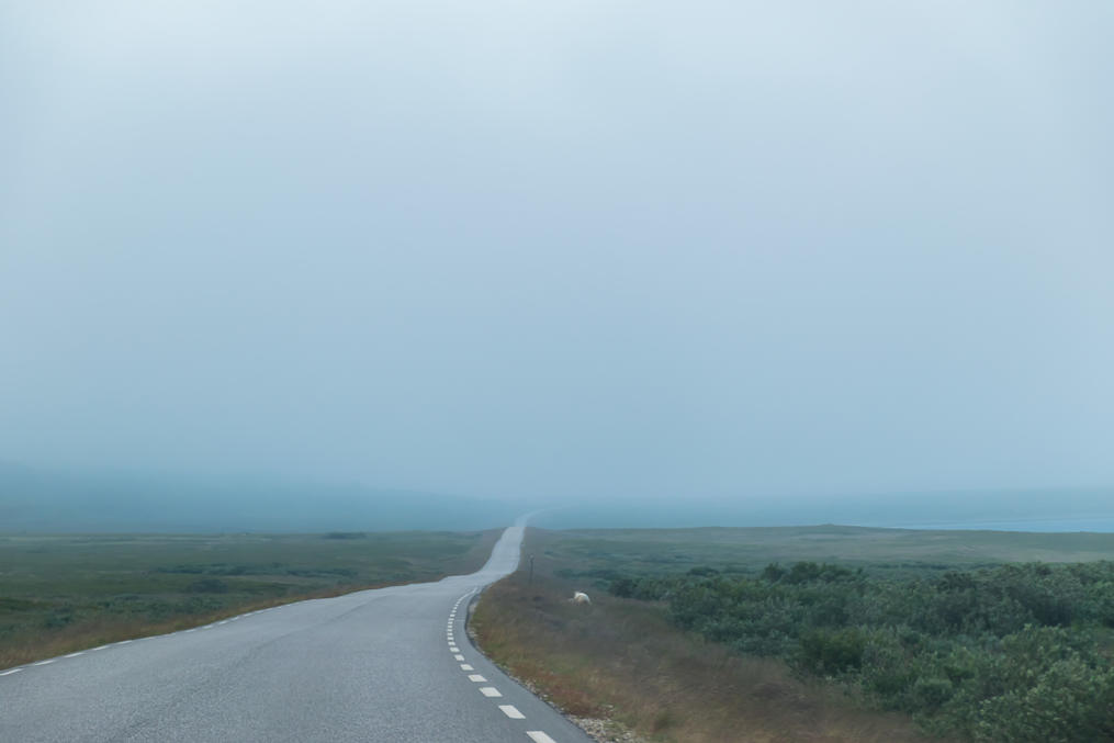 Same road about 10 minutes later