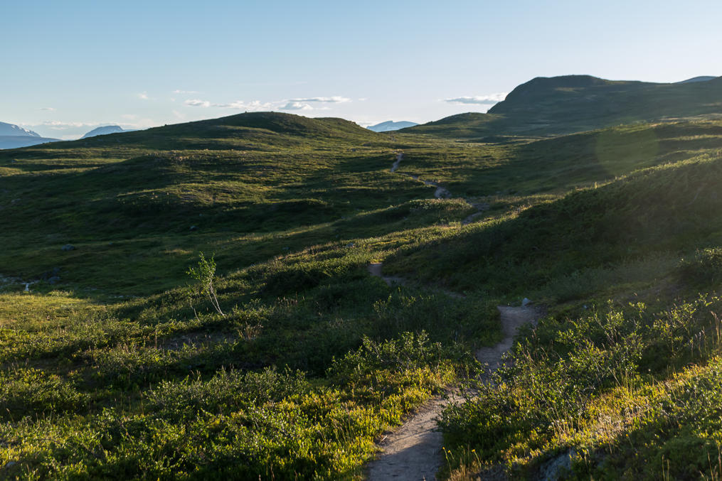 Treriksröset trail