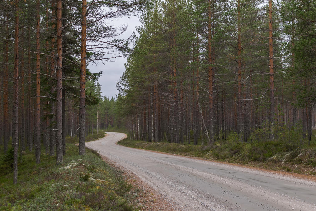 Forestry road near the village of Hattuvaara in North Karelia. This road can be used to reach the easternmost point of Finland (and the entire EU)
