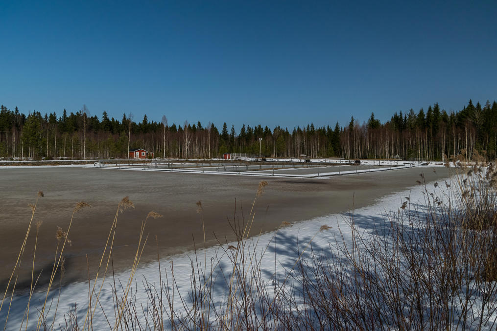 Kalliolampi water treatment pond