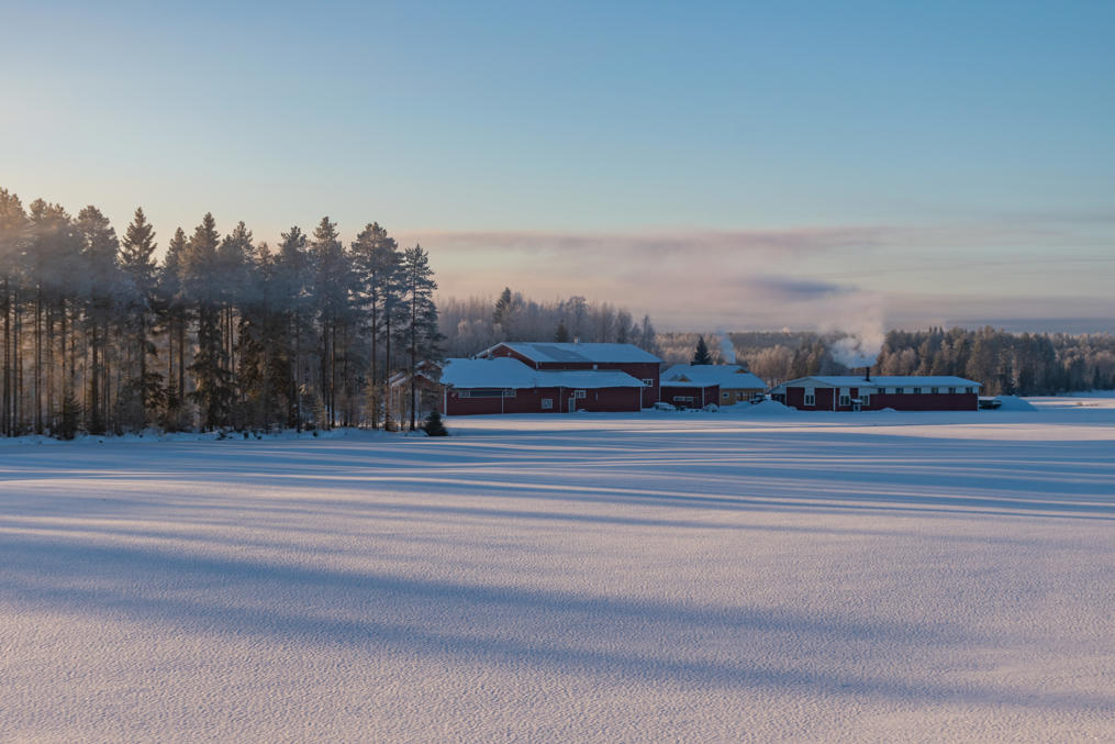 Возвращаясь из Кайнуу.  Ферма в деревне Кулунталахти чуть севернее Каяани