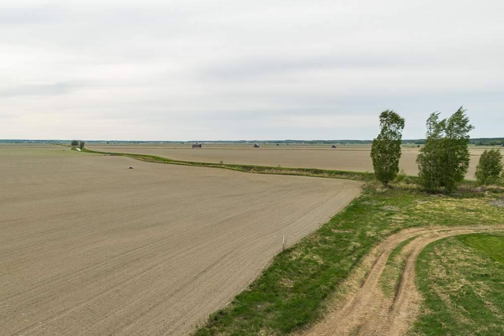 Fields in the large drained circular bay of Söderfjärden, an ancient meteoritic crater by origin