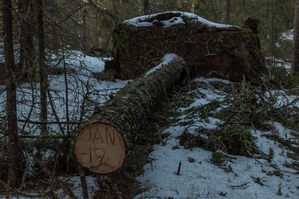 Autumn and winter storms are not uncommon at Bothnian coast, and sometimes inflict significant damage.  Especially power lines in rural areas are easily damaged and it can take a day or two for power companies to fix them all.  The Aapeli storm of January 2, 2019 fell so many trees in the woods that various hiking trails had to be cleared afterwards.  A smaller storm in the autumn of 2018 actually damaged my parked car, although thankfully the insurance covered it