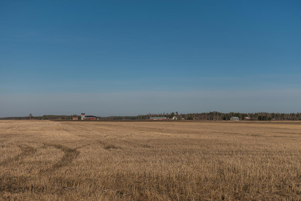 Fields of Isokyrö